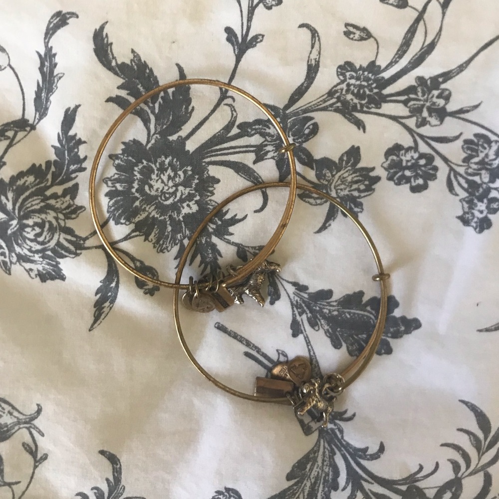 2 Alex & Ani Gold Charm Bracelets Dog / Monopoly